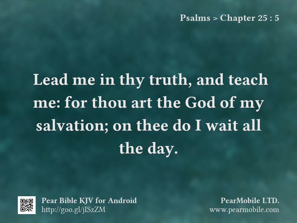 Psalms, Chapter 25:5